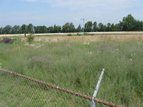 Hartford Speedway Park - Summer 2013